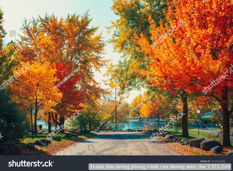 Tranh dán tường phong cảnh con đường mùa thu T321-268